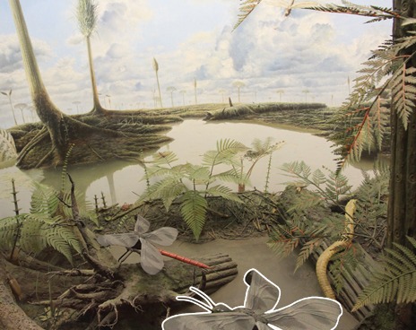 探索微观昆虫世界