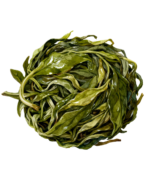 煮好的茶