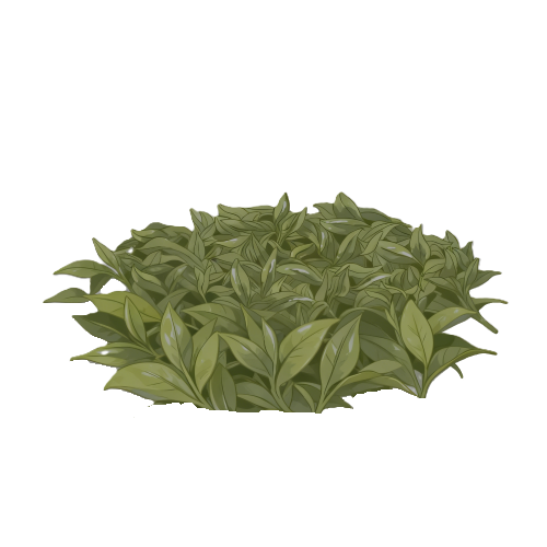 煮好的茶