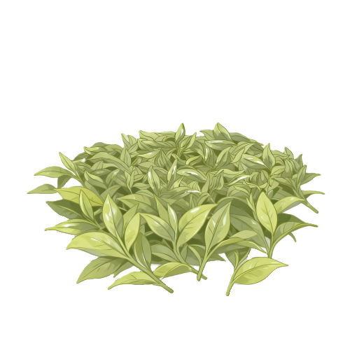 茶